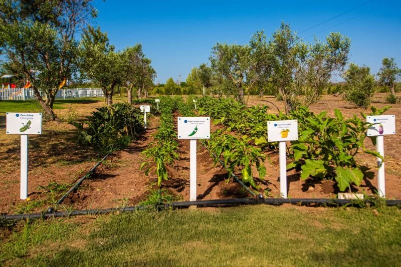 GALLERY-MCR-12-800x533